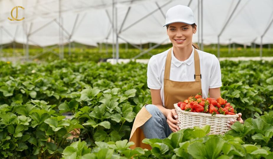 Parcerias com produtores de Barra do Piraí