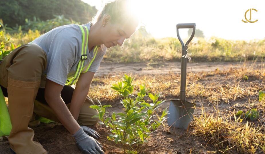 Sustentabilidade e preservação ambiental no turismo rural